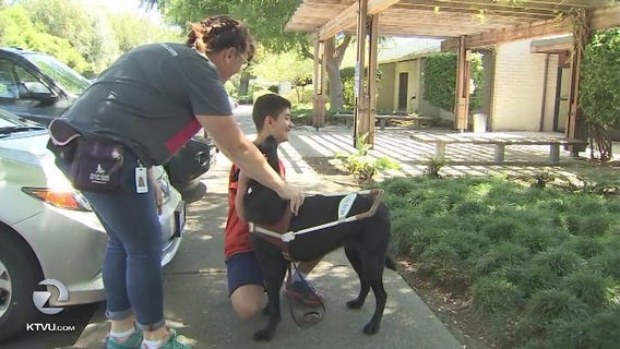Guide dogs build teens? confidence at unique summer camp