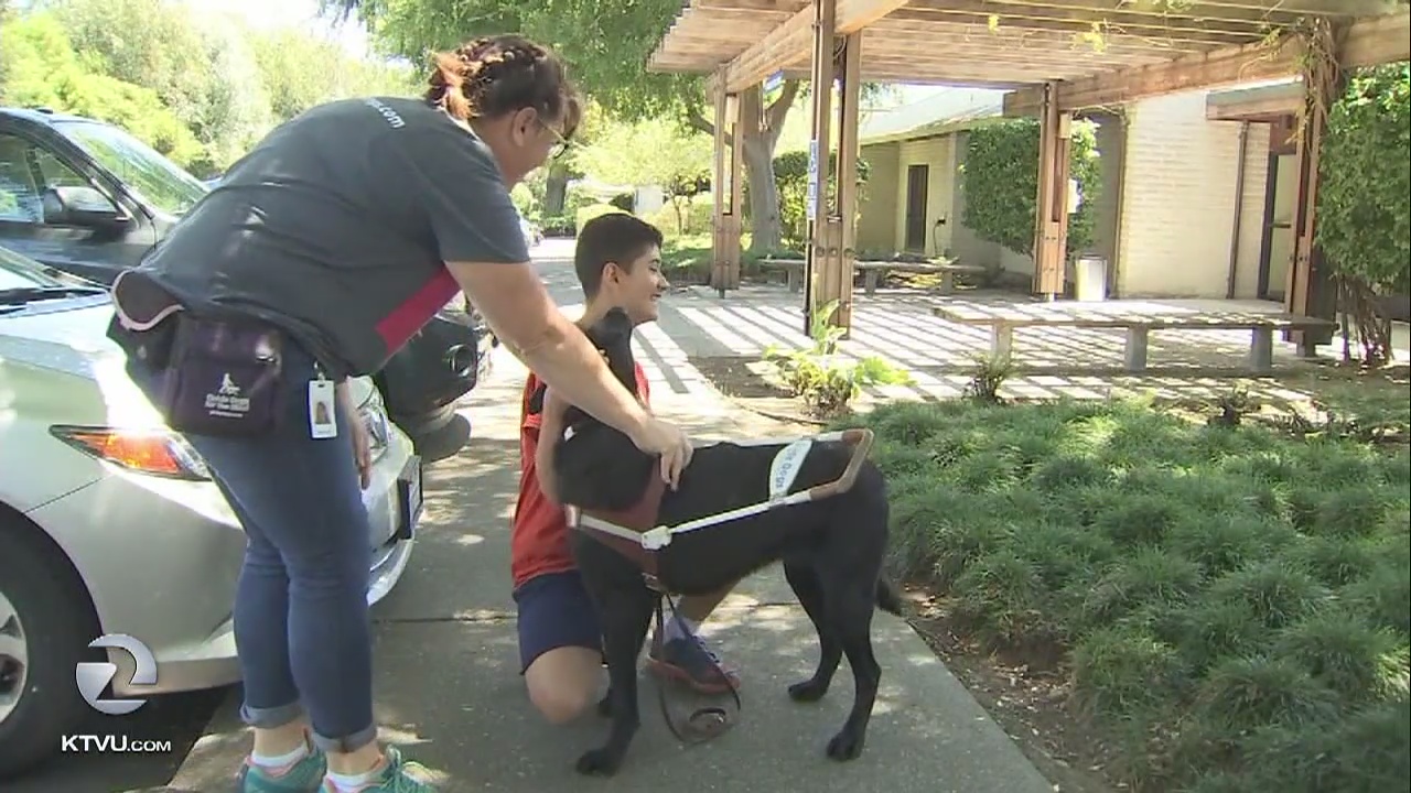 Guide dogs build teens? confidence at unique summer camp