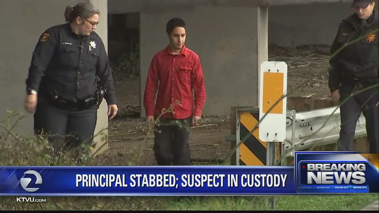 Berkeley principal stabbed