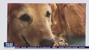 Dog's deep impact on neighbors brings community together