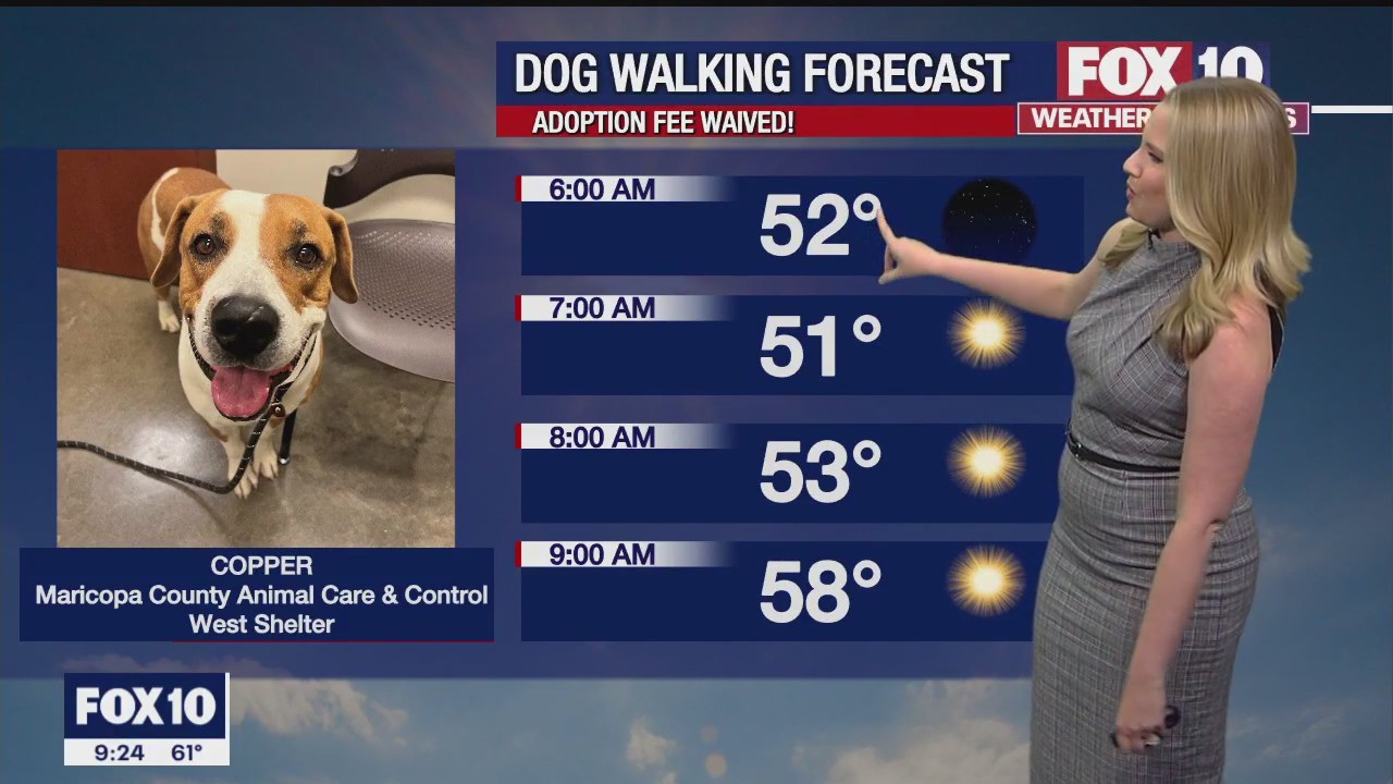 Evening Weather Forecast - 11/5/22