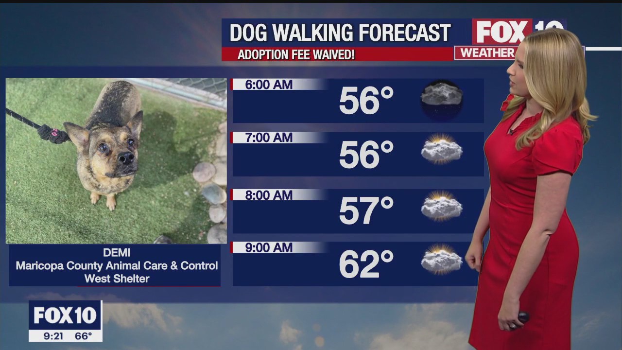 Evening Weather Forecast - 11/6/22