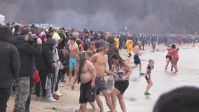Milwaukee Polar Bear Plunge 2024