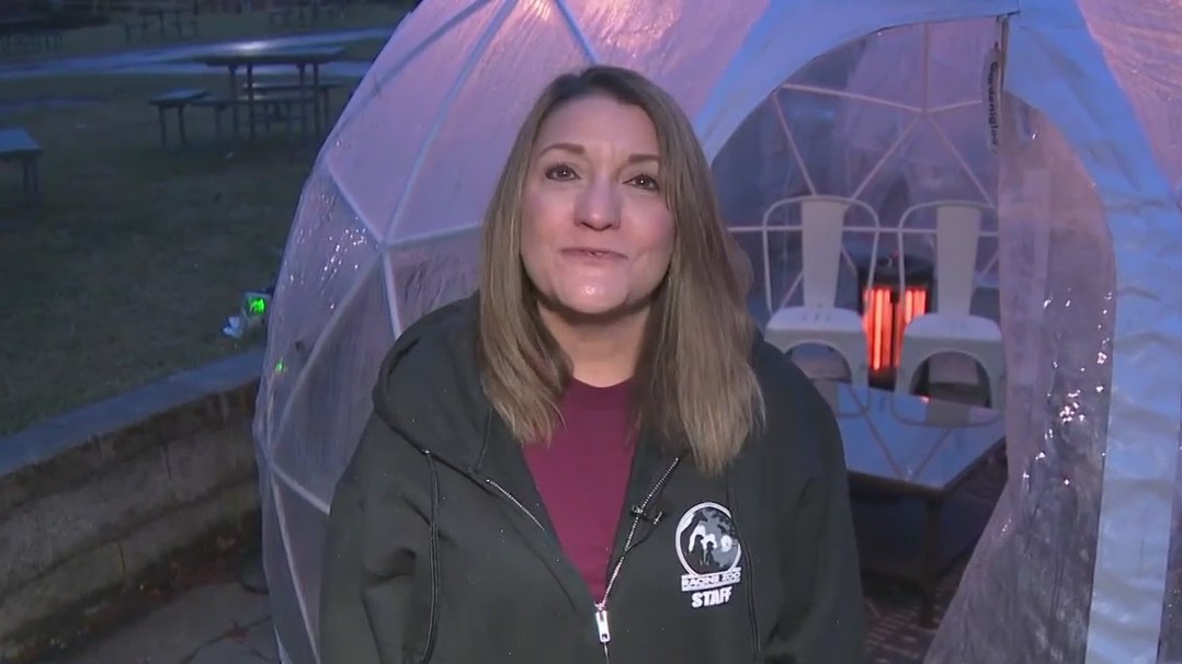 Racine Zoo's 'Winter Picnic in a Snow Globe'