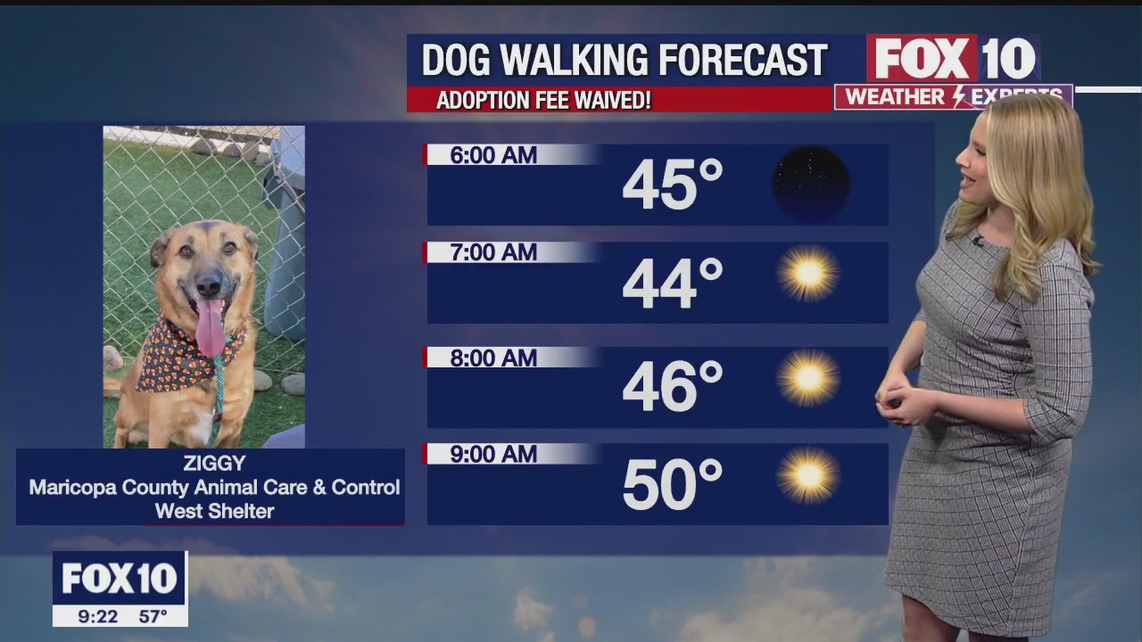 Evening Weather Forecast - 11/13/22