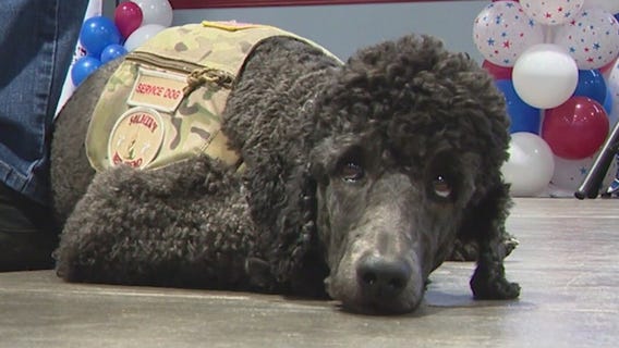 Soldiers Best Friend in Arizona honors those who served and those who comfort them