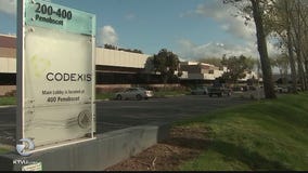 Woman's ex-husband shows up at her work, chases her with gun, commits suicide