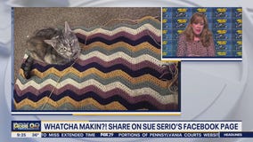 Whatcha Makin: Wintertime tree, crochet animal baby blanket