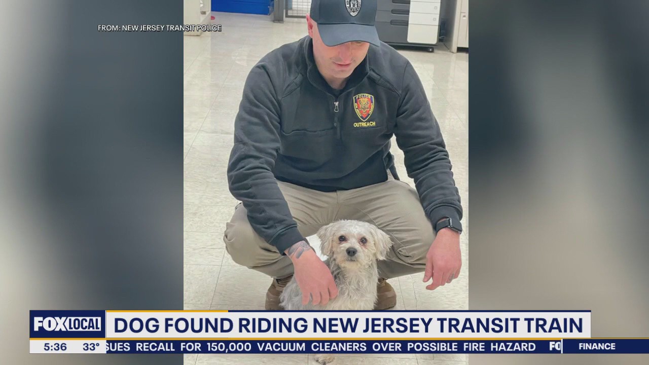 Dog found riding NJ Transit train