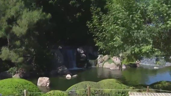 Japanese Friendship Garden in Phoenix celebrates 20th anniversary