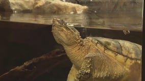 Schlitz Audubon Nature Center family events