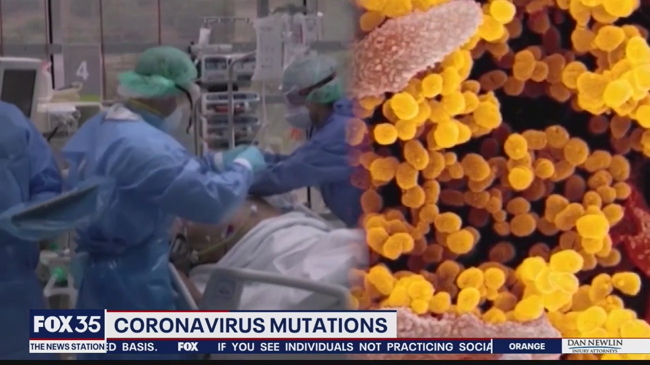 Understanding coronavirus mutations
