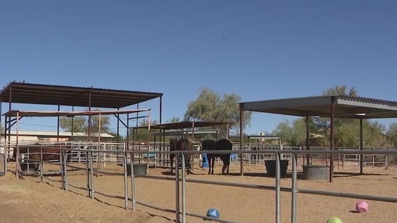 Phoenix area horse sanctuary says cost are mounting for the non-profit