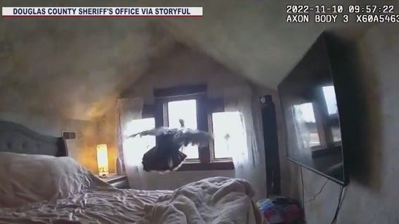 Turkey breaks into Kansas home, causes huge commotion