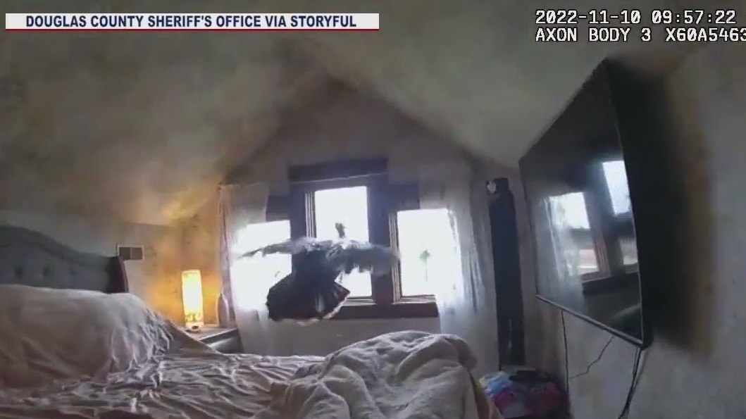 Turkey breaks into Kansas home, causes huge commotion