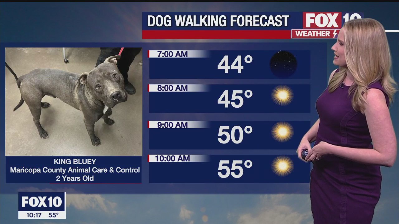 Evening Weather Forecast - 11/26/22