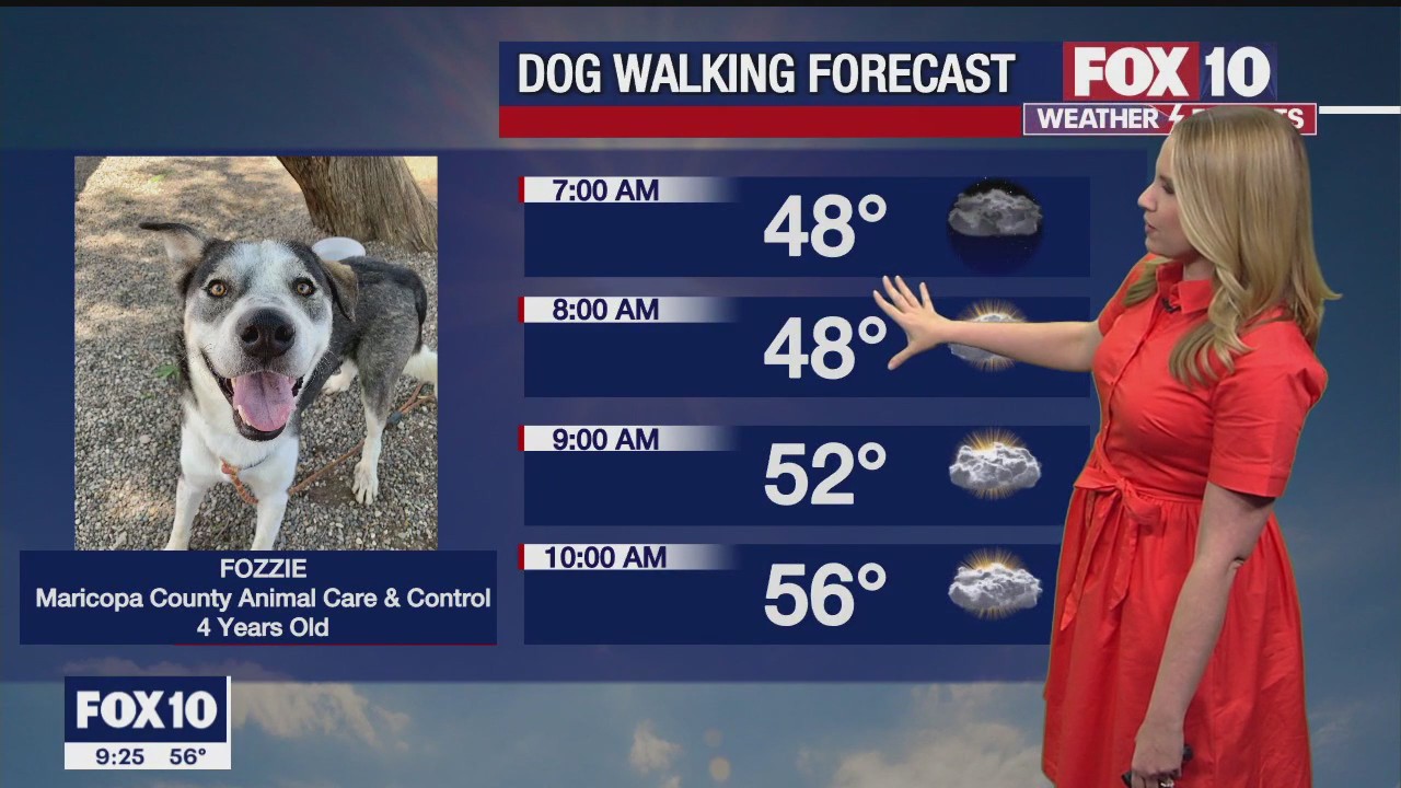 Evening Weather Forecast - 11/27/22