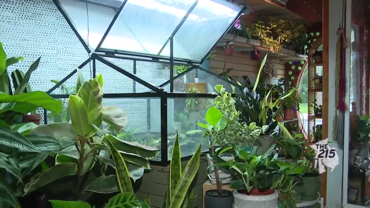 The 215: October 31, 2023