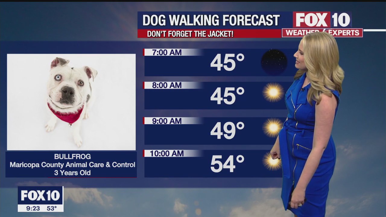 Evening Weather Forecast - 12/10/22