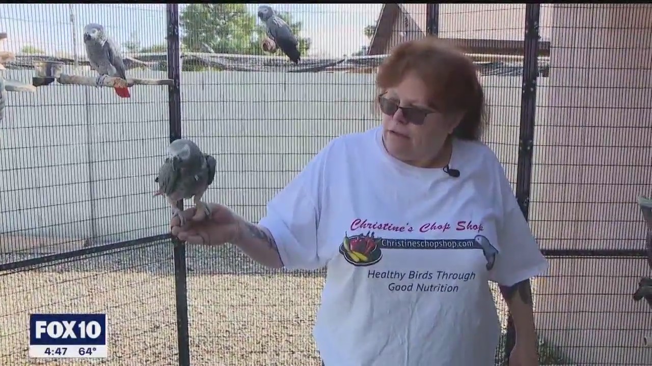 Made in Arizona: Mesa-based company makes healthy treats for birds