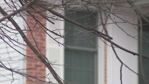 Dodge County man killed wife, turned gun on himself: officials