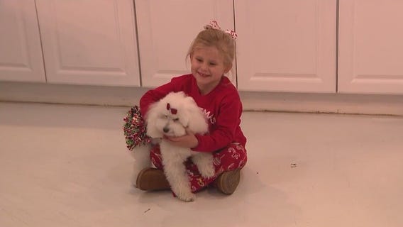 Pet owners spending big money on their furry family members for the holidays