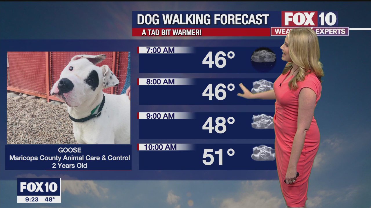 Weekend Weather Forecast