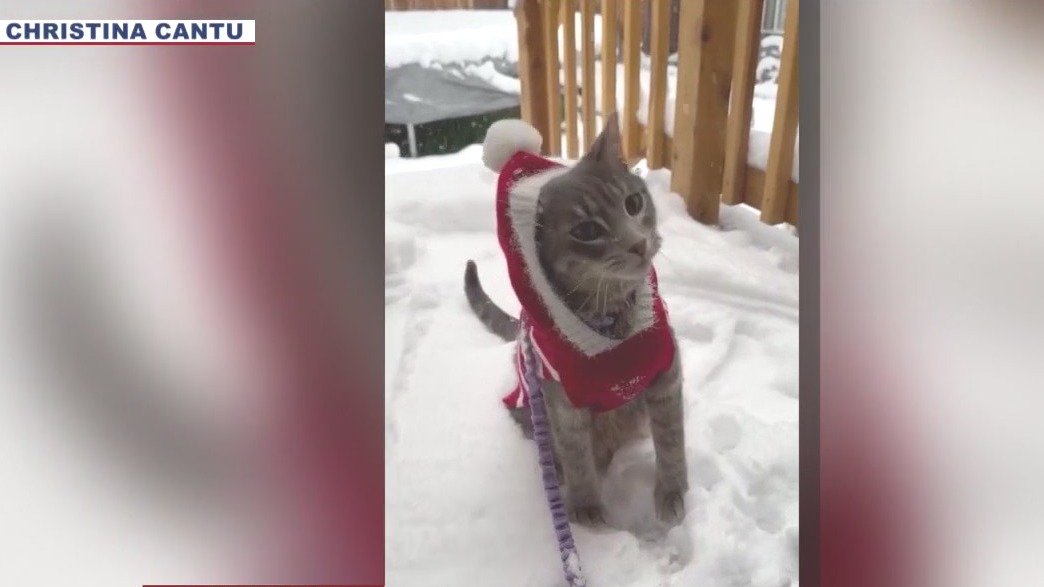 Winter storm brings heavy snowfall to northern Arizona