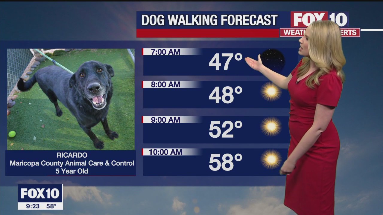 Evening Weather Forecast - 12/25/22