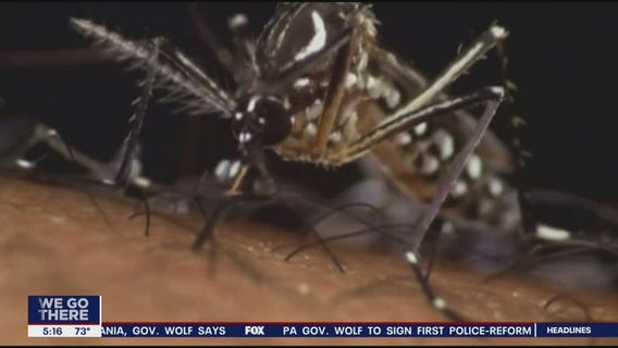 What to do about mosquitoes ahead of the July 4th weekend