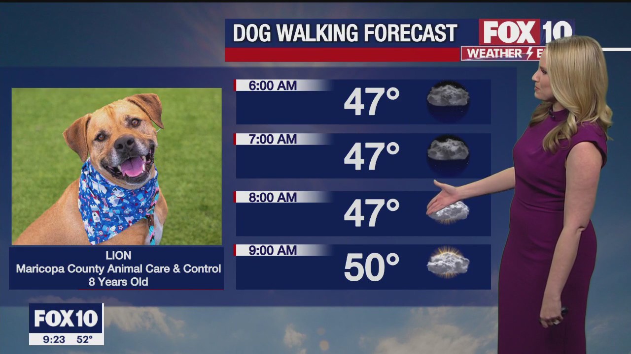 Evening Weather Forecast - 1/3/23