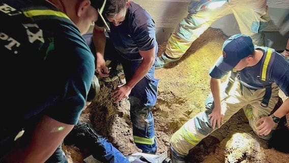 Dog rescued from drain by firefighters, and returned to family