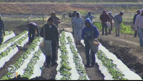 Will immigration order impact farm workers?