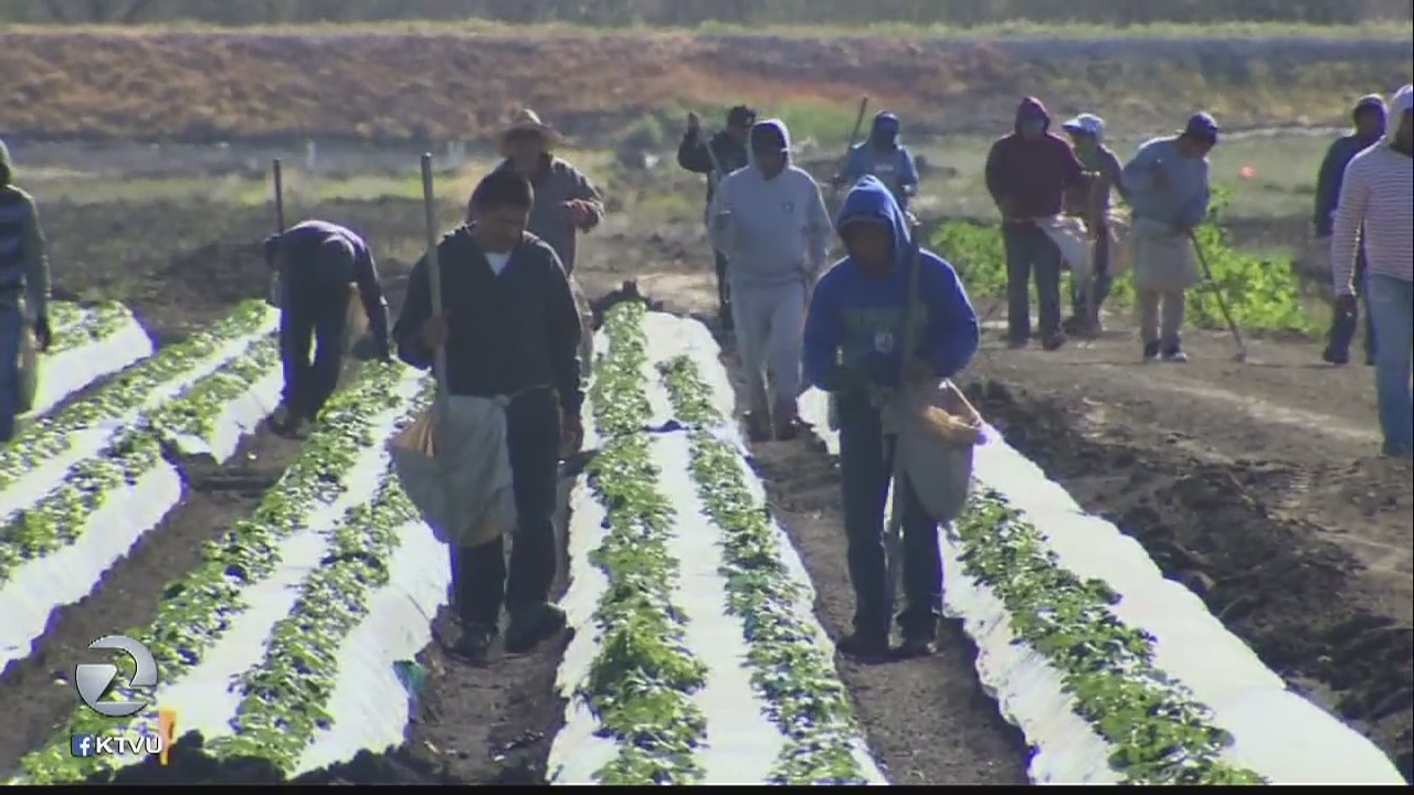 Will immigration order impact farm workers?