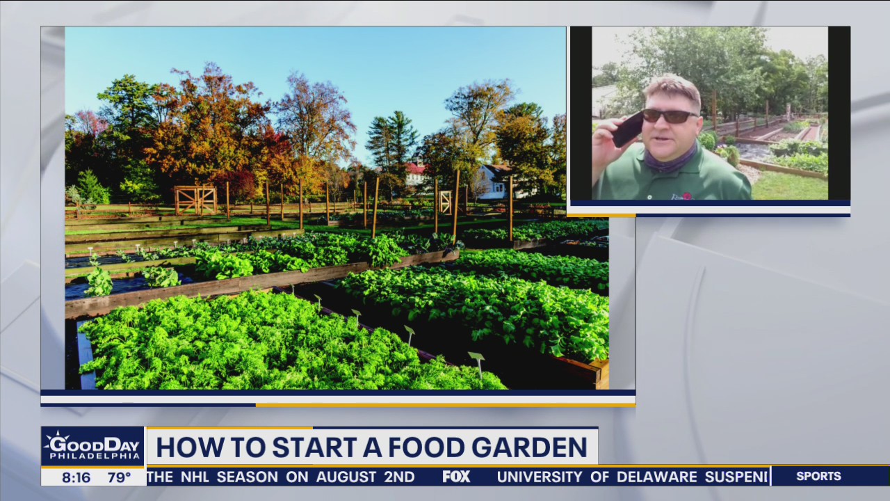 How to easily grow a vegetable or herb garden at home