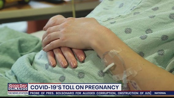 Search for Solutions: COVID-19's toll on pregnancy