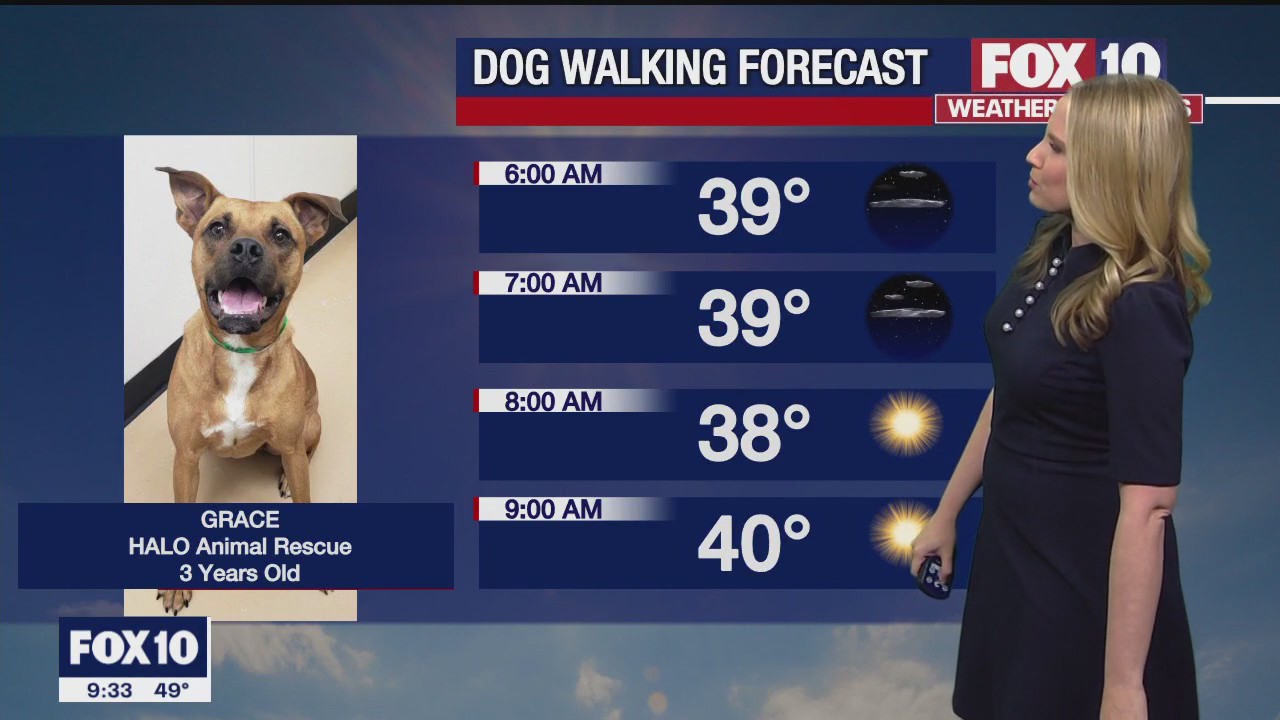 Weather Forecast - 1/22/23