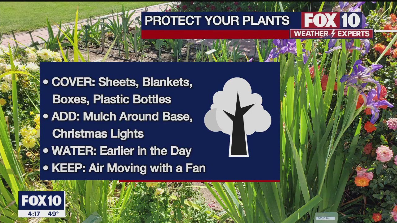 4PM Weather Forecast - 1/23/2023