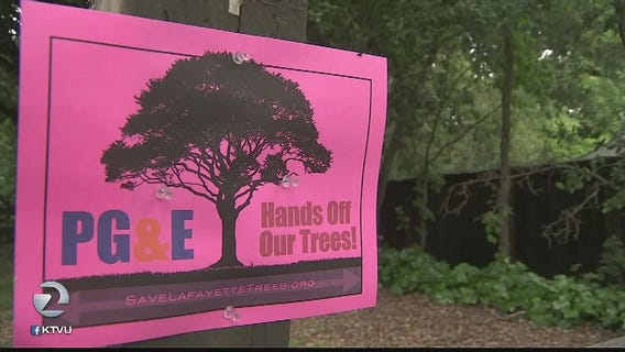 Neighbors demand Lafayette protect 272 trees from PG&E