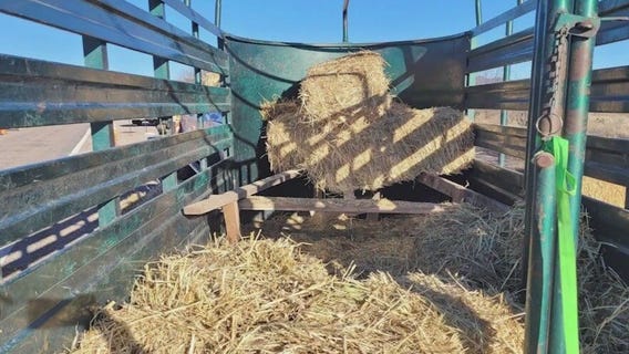 Man illegally hauling migrants takes off on horseback, Arizona authorities say