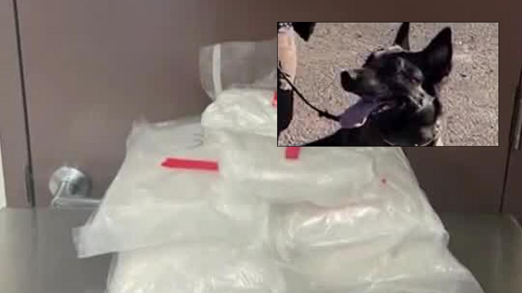K9 officer nabs California man with meth in northern Arizona, CCSO says