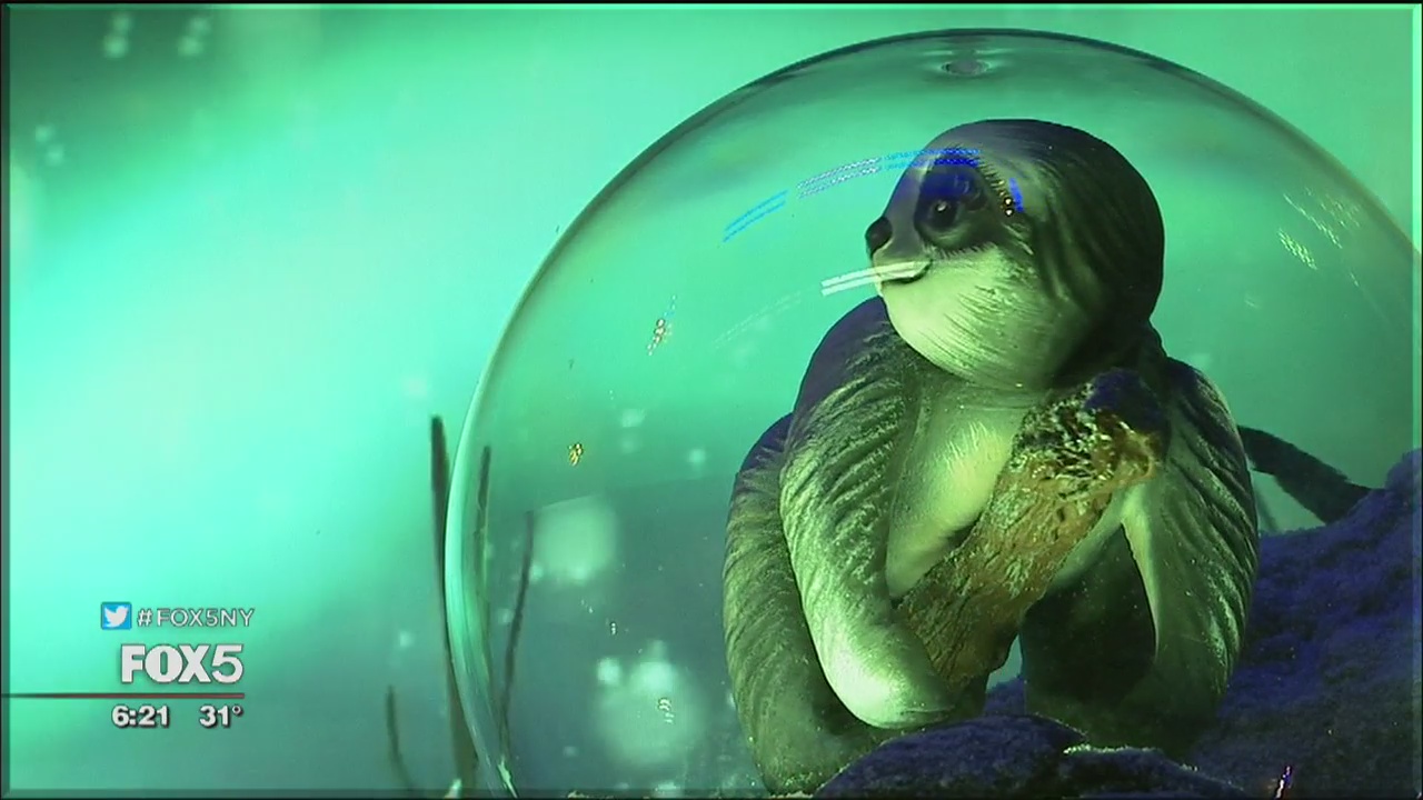 Lord and Taylor holiday windows