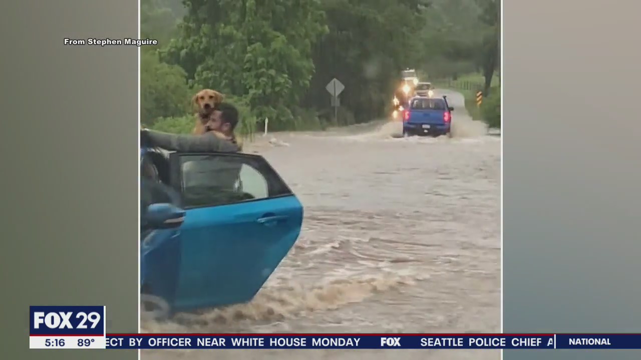 Good Samaritans rescue man and his dog during flash flooding in Delco
