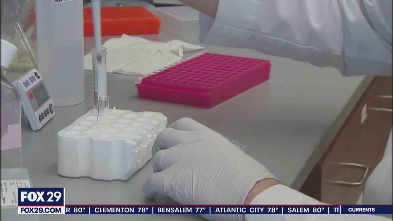 CDC study claims Black and Hispanic children at greater risk of COVID-19