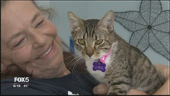 Pets rescued from hurricanes