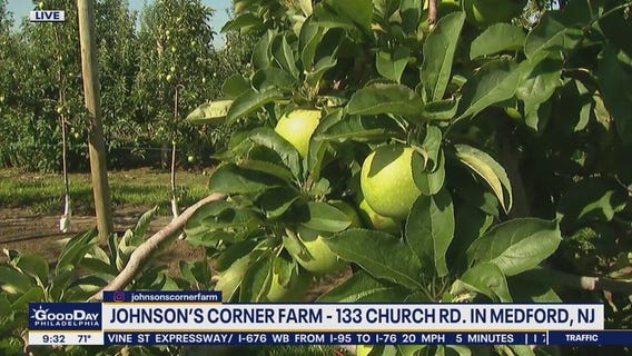 Johnson's Corner Farm preparing for harvest season