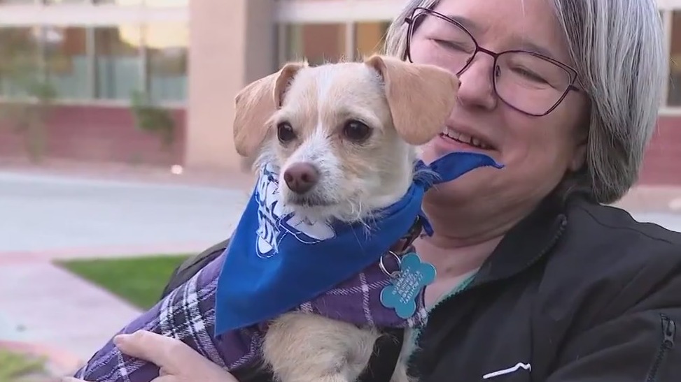 Meet the Arizona pup taking part in the Puppy Bowl