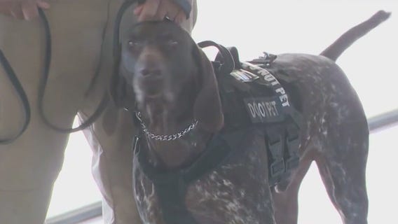 More K-9 teams brought into Phoenix for Super Bowl LVII weekend