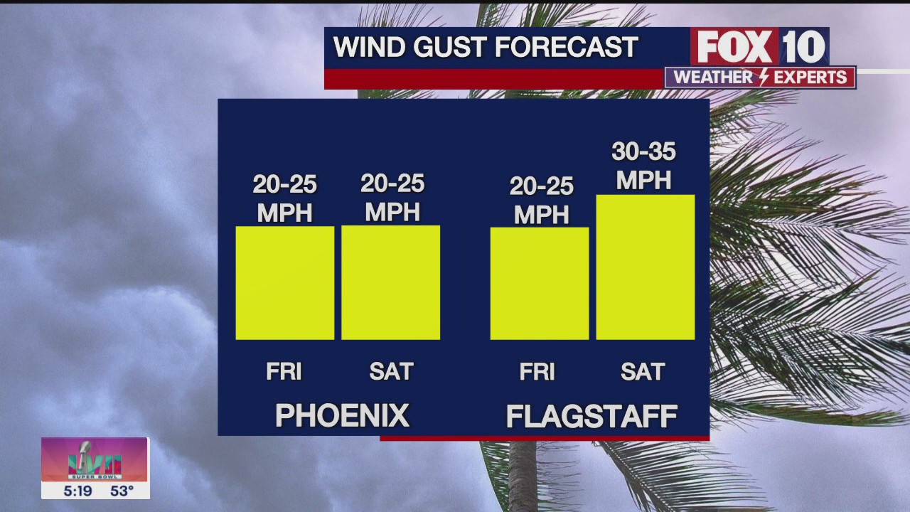 Morning Weather Forecast - 2/10/23