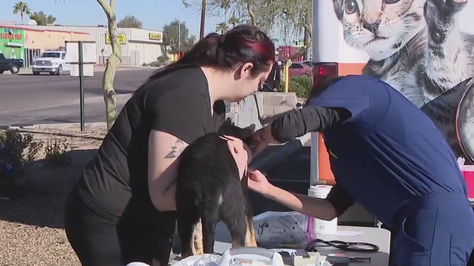 Arizona Humane provides hundreds of free vaccines, microchips for pets